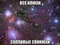 все илюхи сопливые свинюхи