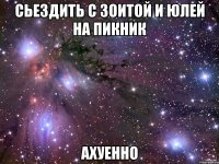 сьездить с зоитой и юлей на пикник ахуенно