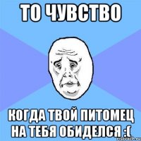 то чувство когда твой питомец на тебя обиделся :(