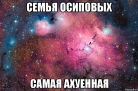 семья осиповых самая ахуенная