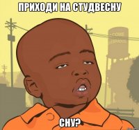 приходи на студвесну cну?