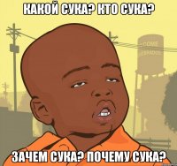 какой сука? кто сука? зачем сука? почему сука?