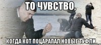 то чувство, когда кот поцарапал новые туфли