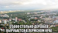  25000 столько деревьев вырубается в пермском крае