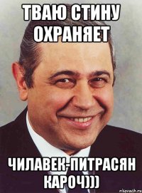 тваю стину охраняет чилавек-питрасян кароч)))