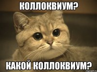 коллоквиум? какой коллоквиум?