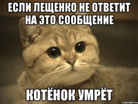 если лещенко не ответит на это сообщение котёнок умрёт