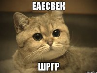 еаесвек шргр