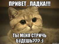 привет , ладка!!! ты меня стричь будешь??? :)