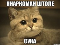 ннаркоман штоле сука