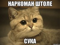 наркоман штоле сука