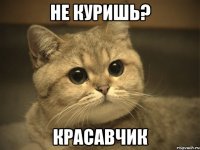 не куришь? красавчик