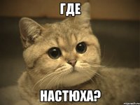 где настюха?