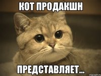 кот продакшн представляет...