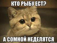 кто рыбу ест? а сомной неделятся