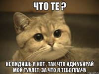 что те ? не видишь я кот , так что иди убирай мой туалет, за что я тебе плачу