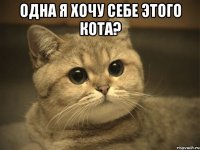 одна я хочу себе этого кота? 