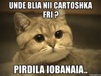 unde blia nii cartoshka fri ? pirdila iobanaia..