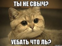 ты не свыч? уебать что ль?