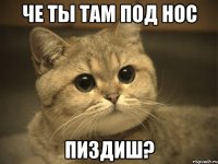 че ты там под нос пиздиш?