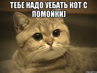 тебе надо уебать кот с помойки) 