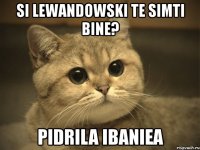 si lewandowski te simti bine? pidrila ibaniea