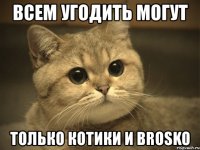 всем угодить могут только котики и brosko