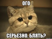 ого серьезно, блять?