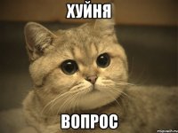 хуйня вопрос