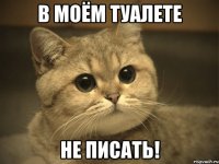 в моём туалете не писать!