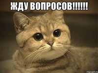 жду вопросов!!! 