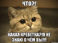 что?! какая креветка?!я не знаю о чём вы!!!