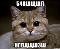 548шщшл нггщщшзш