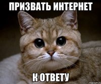 призвать интернет к ответу