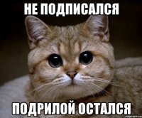 не подписался подрилой остался