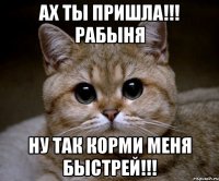 ах ты пришла!!! рабыня ну так корми меня быстрей!!!