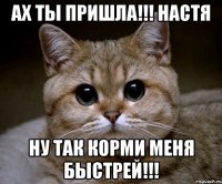 ах ты пришла!!! настя ну так корми меня быстрей!!!