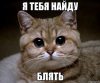 я тебя найду блять