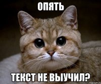 опять текст не выучил?