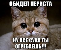 обидел периста ну все сука ты огребаешь!!!