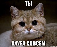 ты ахуел совсем