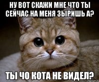 ну вот скажи мне что ты сейчас на меня зыришь а? ты чо кота не видел?