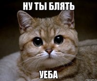 ну ты блять уеба