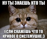 ну ты знаешь кто ты если скажешь что то кривое о системушке:3