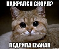 нажрался скорл? педрила ебаная