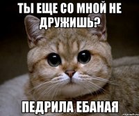 ты еще со мной не дружишь? педрила ебаная