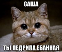 саша ты педрила ебанная