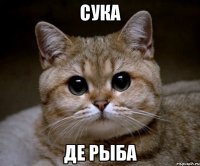 сука де рыба