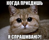 когда приедишь я спрашиваю?!