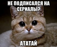 не подписался на сериалы? ататай